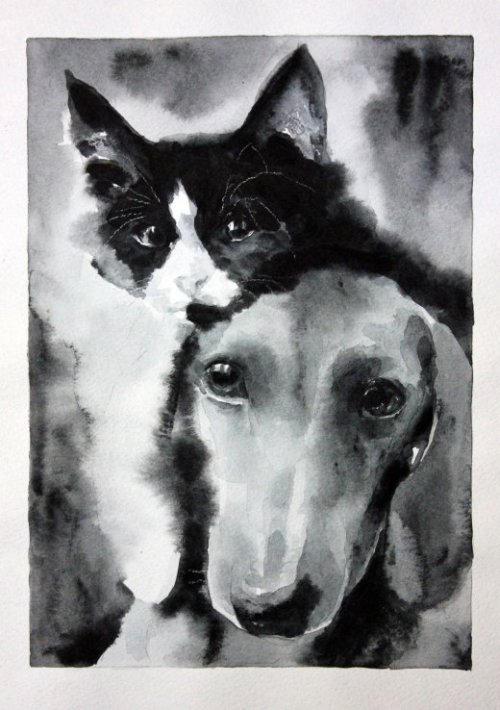 As coloridas aquarelas retratando animais de Elena Shved Elena Shved deviantart pinturas aquarelas coloridas animais manchados cavalos gatos cachorros leões tigres cores