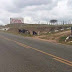 Motoristas reclamam de animais soltos na BR que liga Capela a Nova Fátima