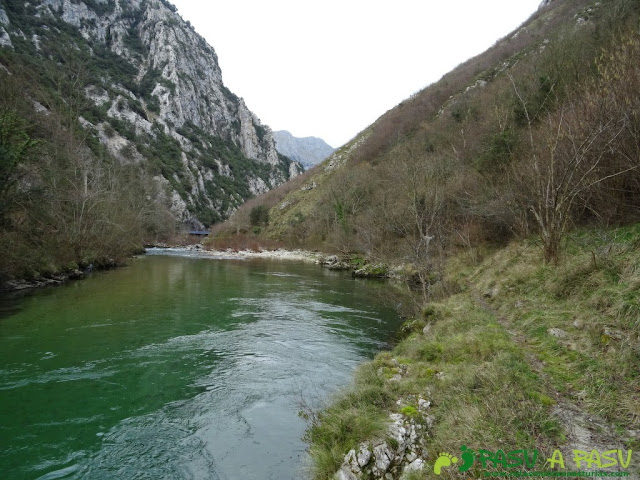 Ruta a la Pica de Peñamellera: Bajando por el Cares a la Molinuca