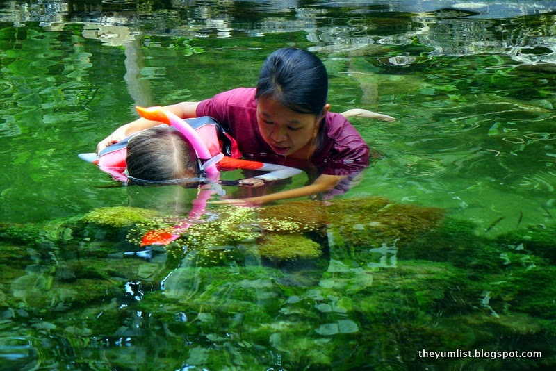 Guided Snorkel andaman, langkawi