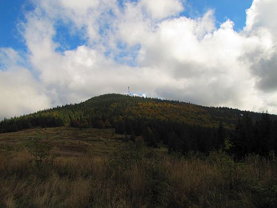 Okrąglica (1239 m n.p.m.) z Przełęczy Kucałowej.