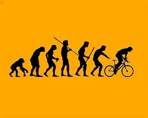 La evolución del hombre