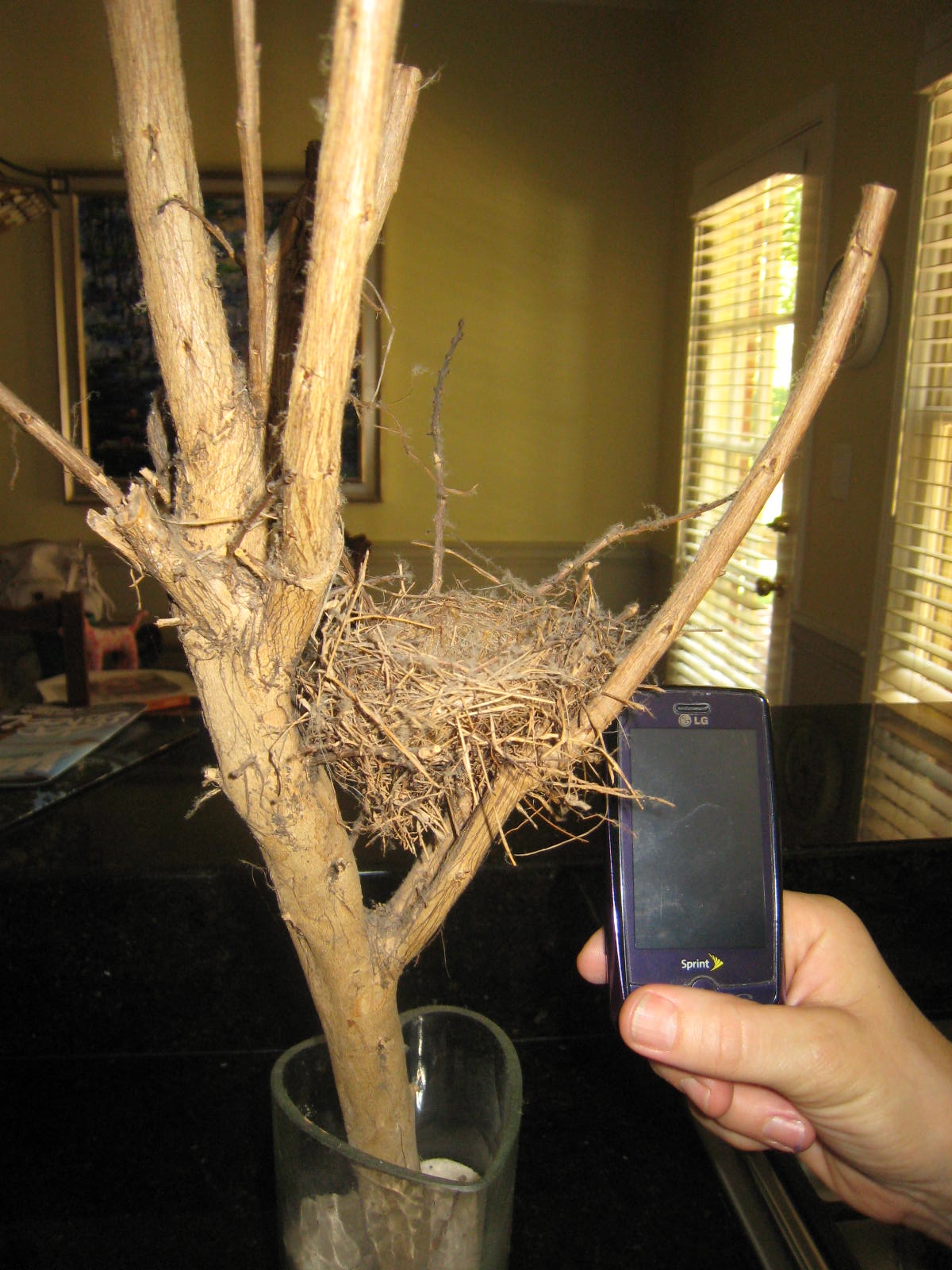 Homework help biology commensalism bears image