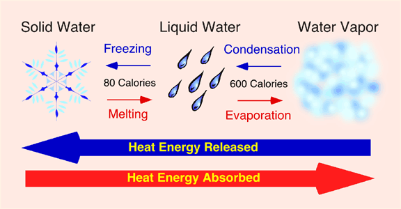 water-change.jpg