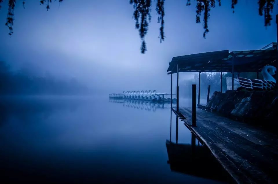 Burnham Lake One Foggy Morning