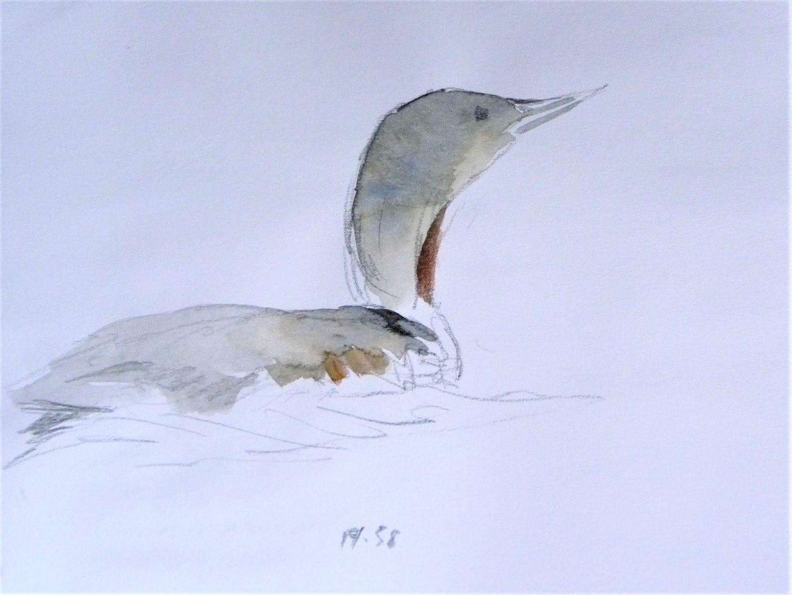 Tim Wootton Wildlife Art