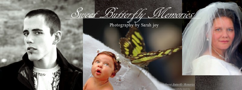 Sweet Butterfly Memories Photography