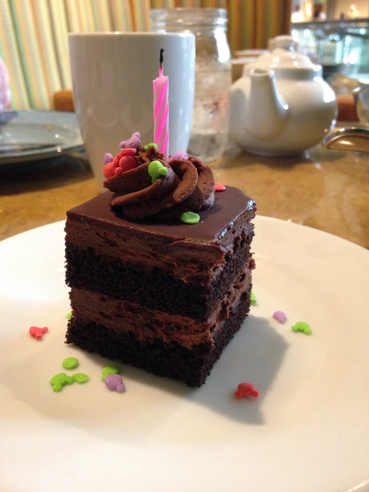 The Chocolate Cult No Fooling, Chocolate Cake for Breakfast at Disney