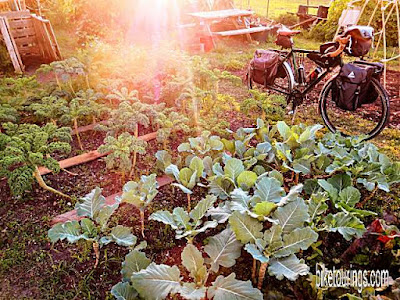 Touring bike ride to local organic garden Picture of touring bike at local organic garden