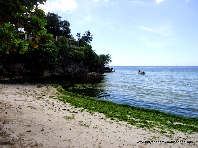 side at Alona Tropical_Beach Resort Bohol