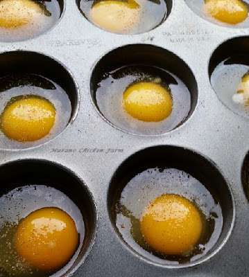 Egg bake recipe.