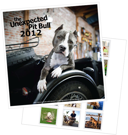 Handmadeaholic Quick Pick 2012 Pit Bull Calendar Benefiting Animal