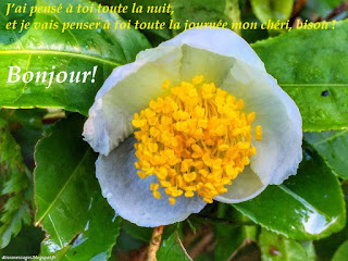 image bonjour J’ai pensé à toi toute la nuit, et je vais penser à toi toute la journée mon chéri, bisou ! Bonjour!