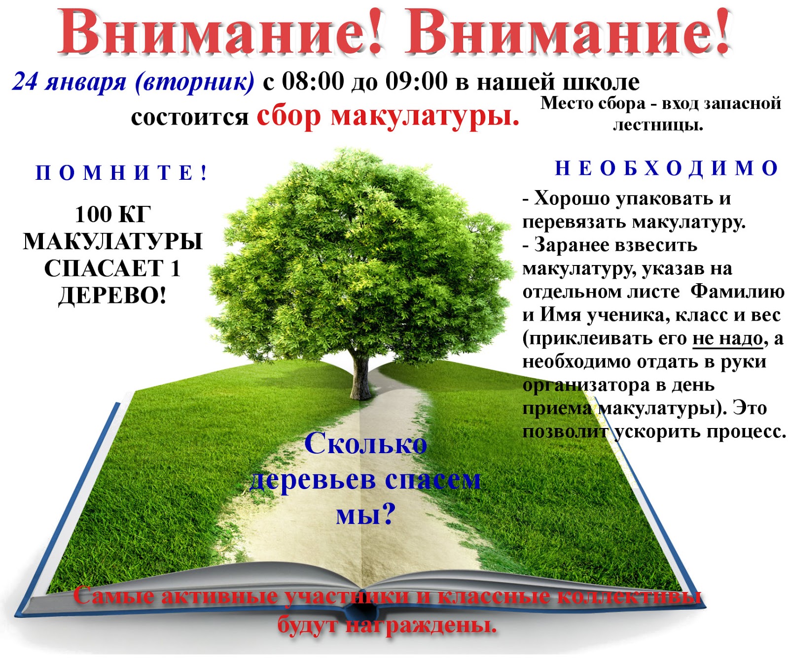 100 кг макулатуры спасают 1 дерево картинка. Сколько макулатуры спасает 1 дерево. 100 кг макулатуры 1 дерево. Спаси дерево. Сколько макулатуры спасает 1 дерево.