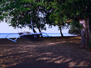 Shade Plant Trees And Fishing Boat On The Beach Of Tangguwisia Village, Seririt, North Bali, Indonesia