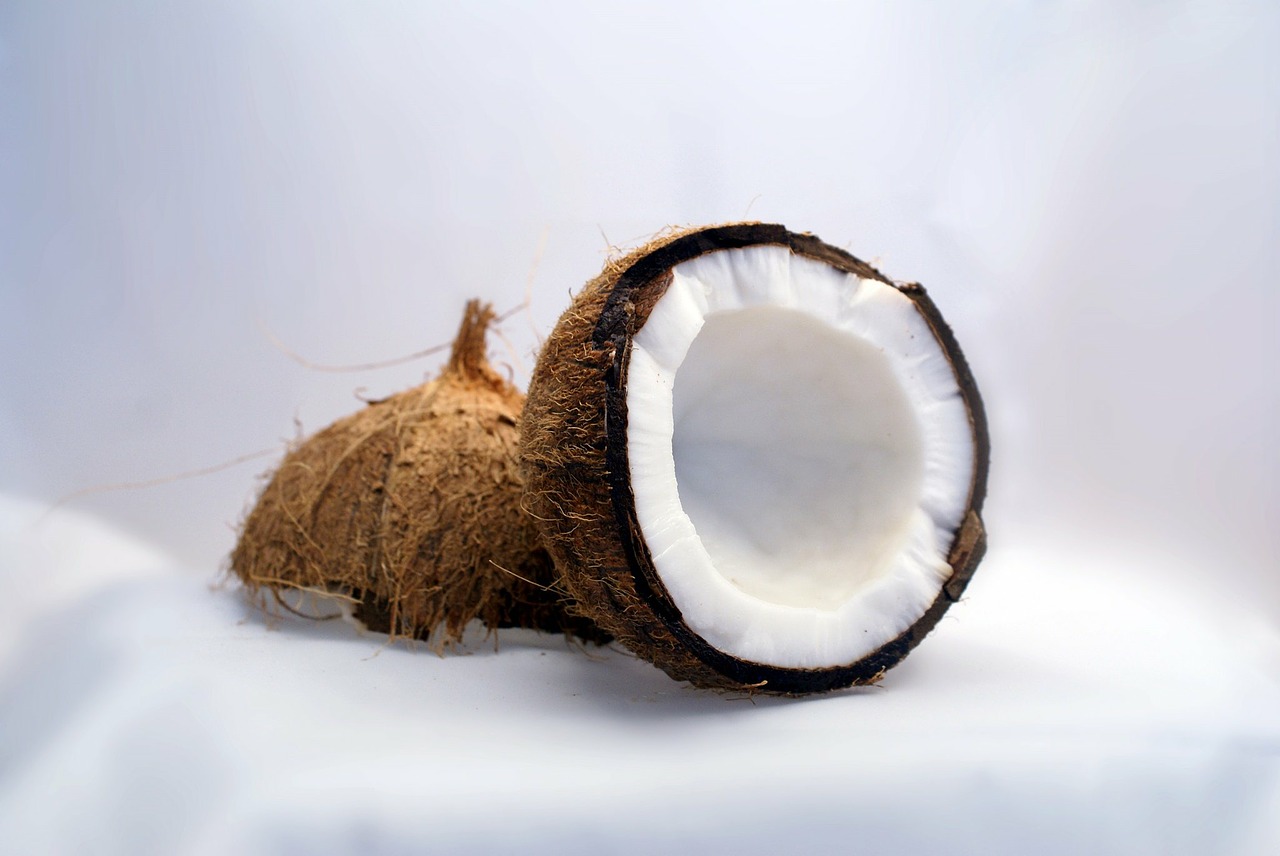kokos coconut