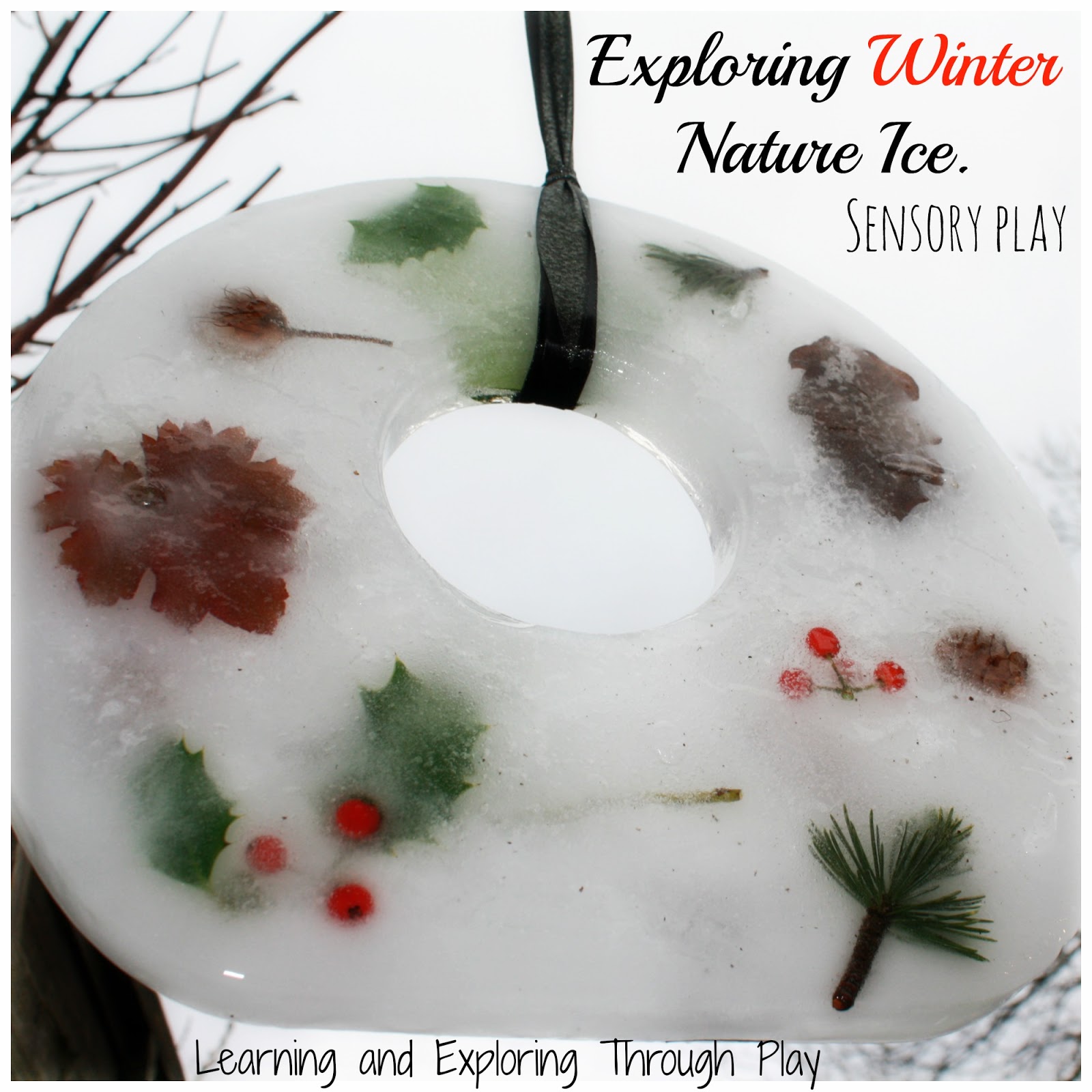 Frozen Ice and Snow Winter Sensory Bag - Views From a Step Stool