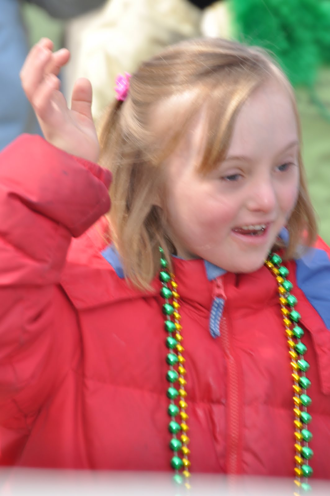 st patricks day mchenry il