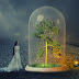Fantasy Editing Photoshop Manipulation