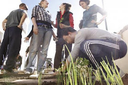 Talleres sobre Agricultura Ecológica y Medio Ambiente