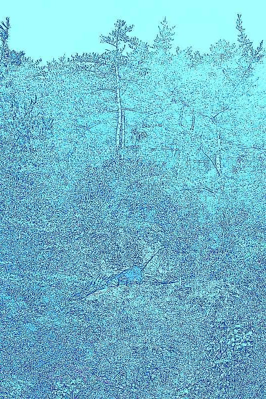 화순 영구산 운주사 화순 영구산 운주사