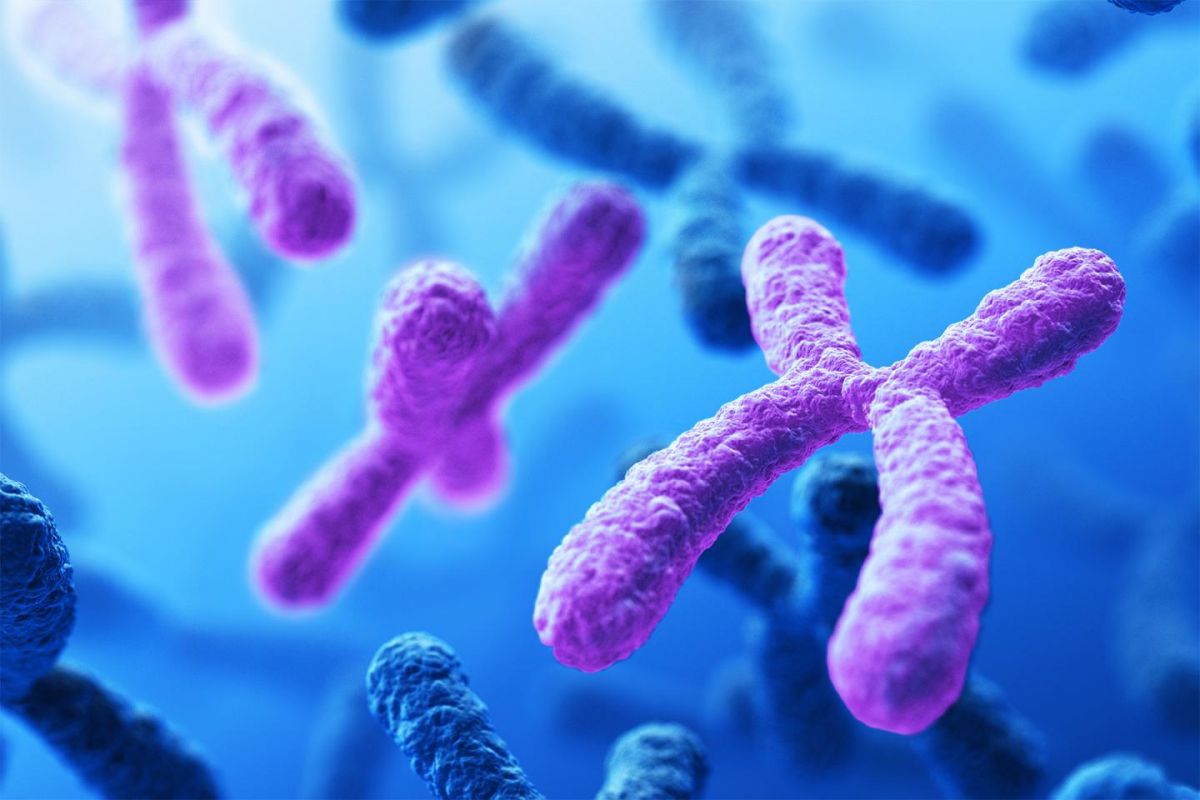 testdiagnosztika a parazitákról vélemények