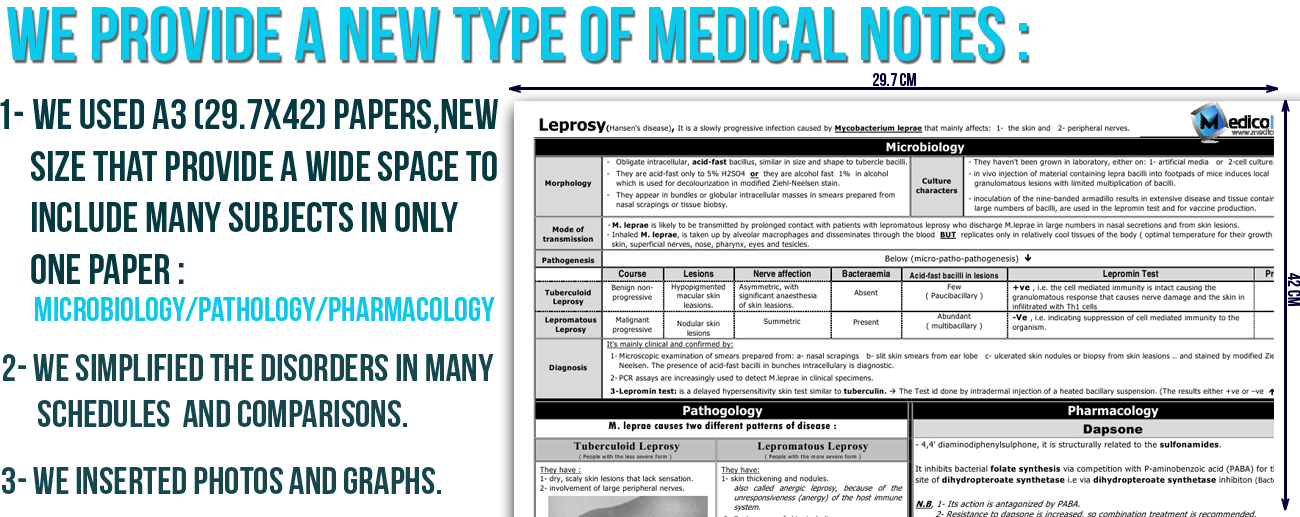 for Medical Summaries is The Leading