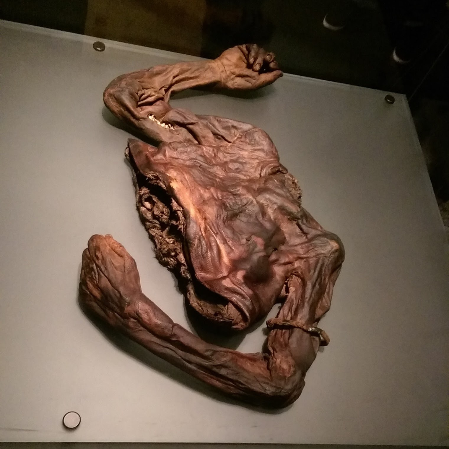 Bog Bodies Ireland Dublin