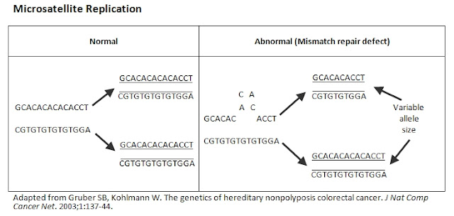Cancer Biology: Lynch Syndrome: When the Molecular Cleaning Ladies Stop