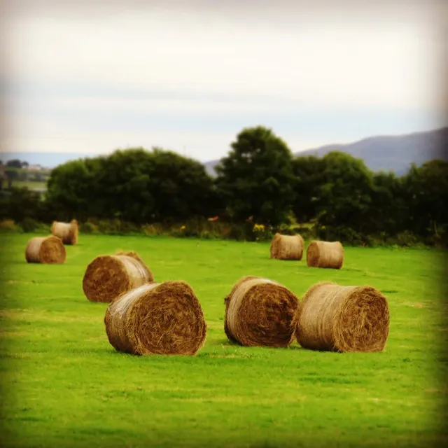 Bales of Hay in County Sligo, Ireland