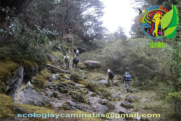 EcoCaminatas ascenso ruta del Delirio, caminata a Ubaque.