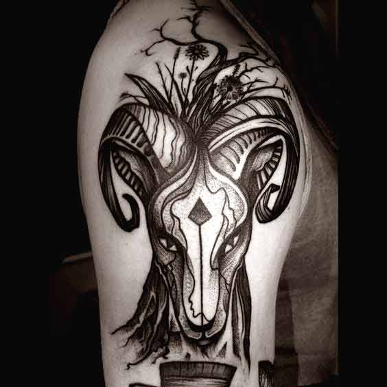 Aries animal "ram" tattoo design on half sleeve