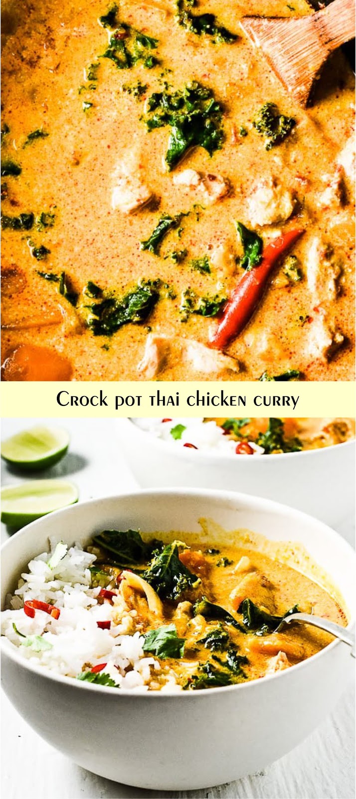 Crock pot thai chicken curry