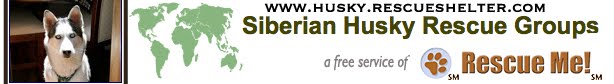 Siberian Husky Rescue Groups Listing