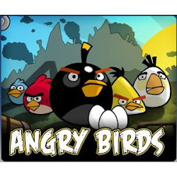why can t the angry birds fly 3