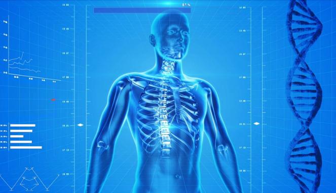 Bahan Ini Bisa Mencegah Osteoporosis Secara Alami Lho Bahan Ini Bisa Mencegah Osteoporosis Secara Alami Lho