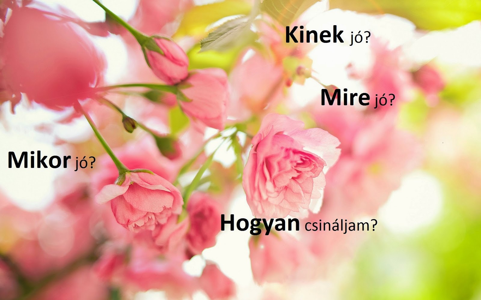 jó a böjtöt fogyni jó a böjtöt fogyni
