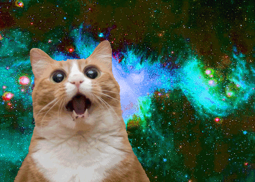 Excited Space Cat gif