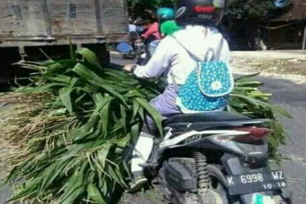 Foto Siswi SMA ini Membuat Banyak Orang Takjub, Masih Pakai Seragam Tapi.... Foto Siswi SMA ini Membuat Banyak Orang Takjub, Masih Pakai Seragam Tapi....
