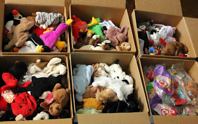 6 boxes of beanie babies