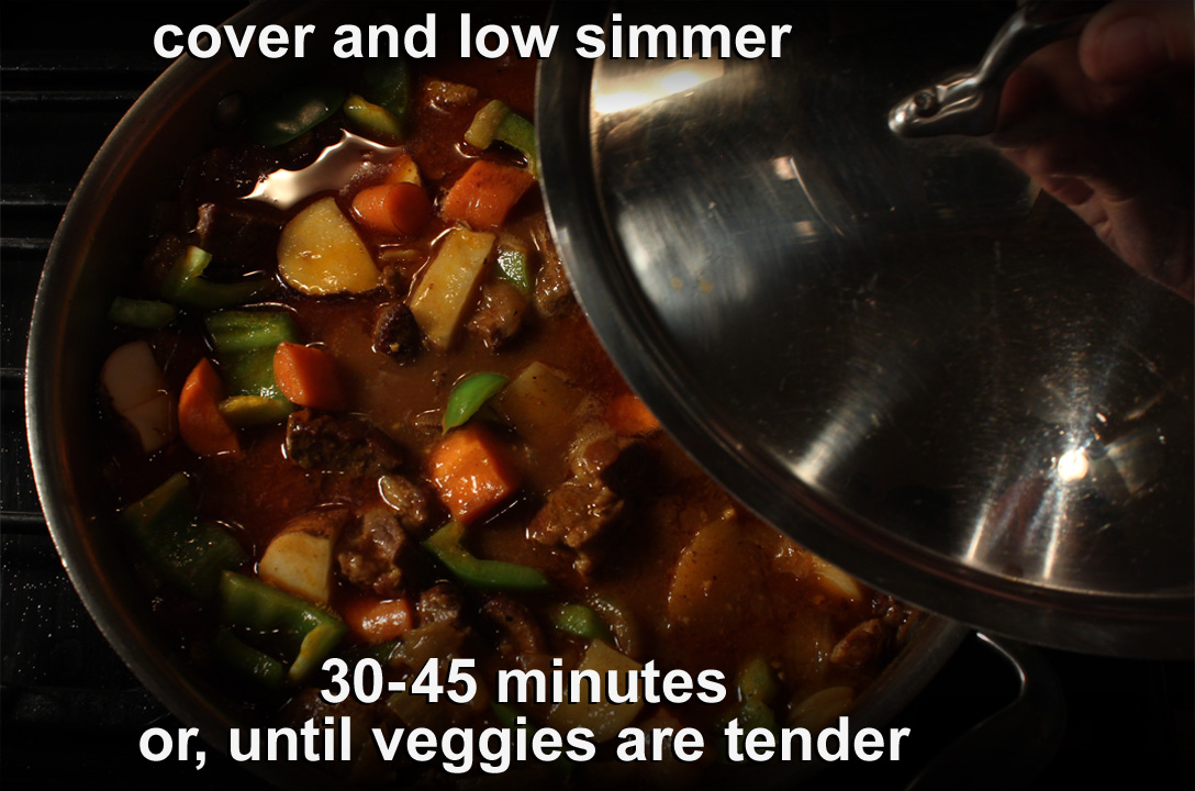 The 99 Cent Chef Best Lamb Curry with Vegetables Video Recipe