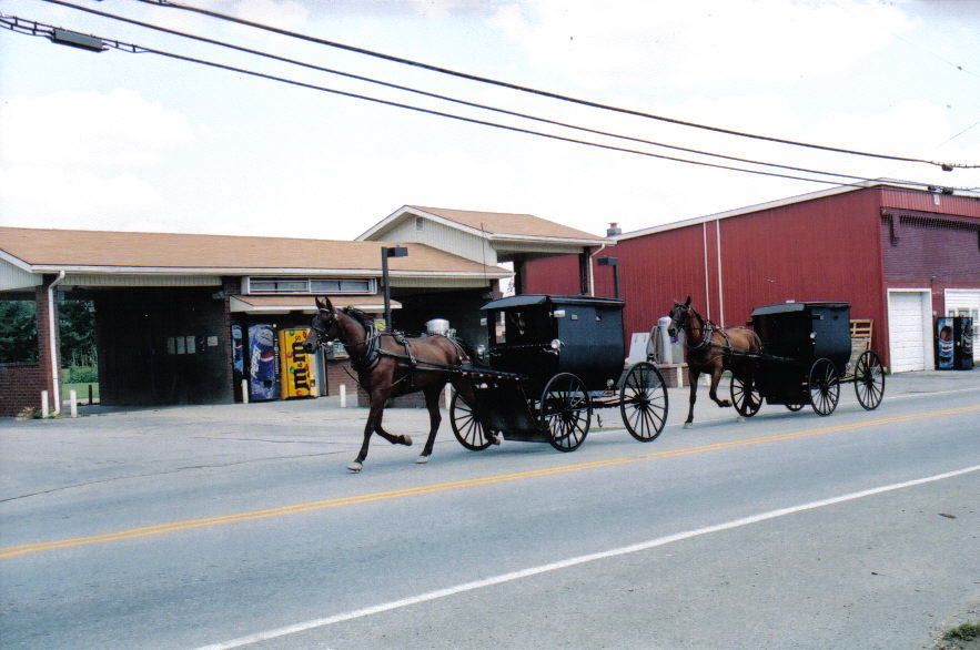 Kentucky Genealogy The Crab Orchard