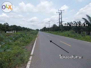 ที่ดิน ราคาถูก