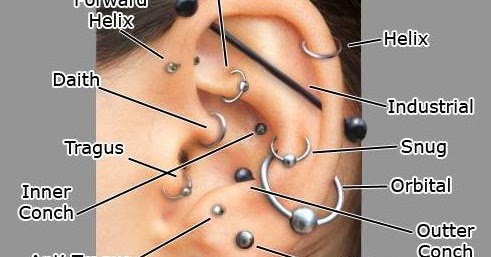 Piercing Cesitleri Ve Piercing Isimleri Aksesuarmodasi Com