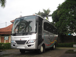 bus triun 2012