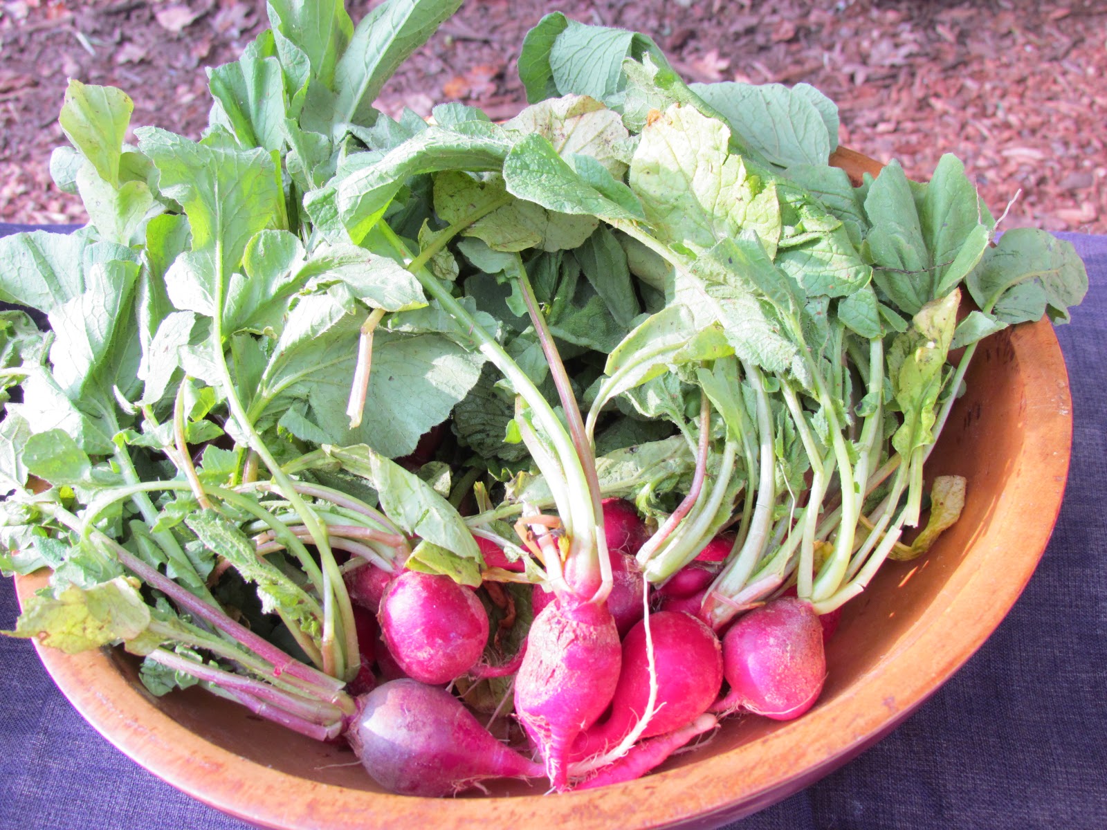 Cakes and Ale Restaurant Blog