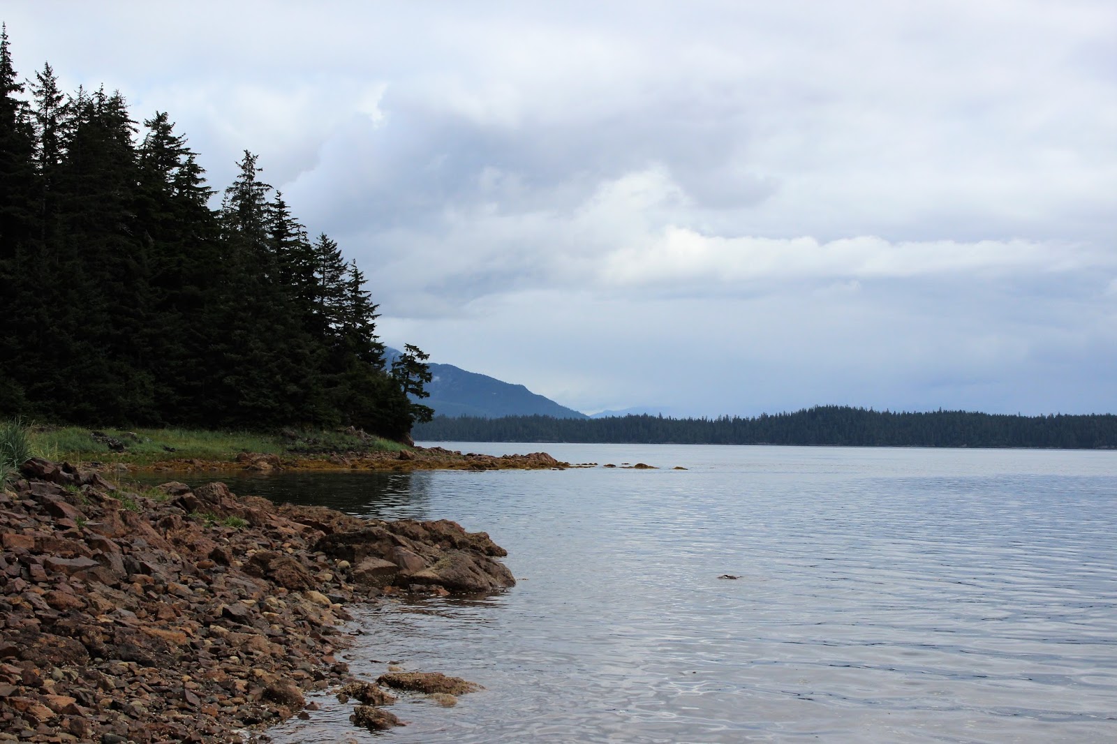 Souvenir Chronicles ALASKA! GRIZZLY BEAR WATCHING ON CHICHAGOF ISLAND