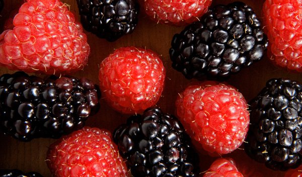 Best juicer shopping list for raw food diet