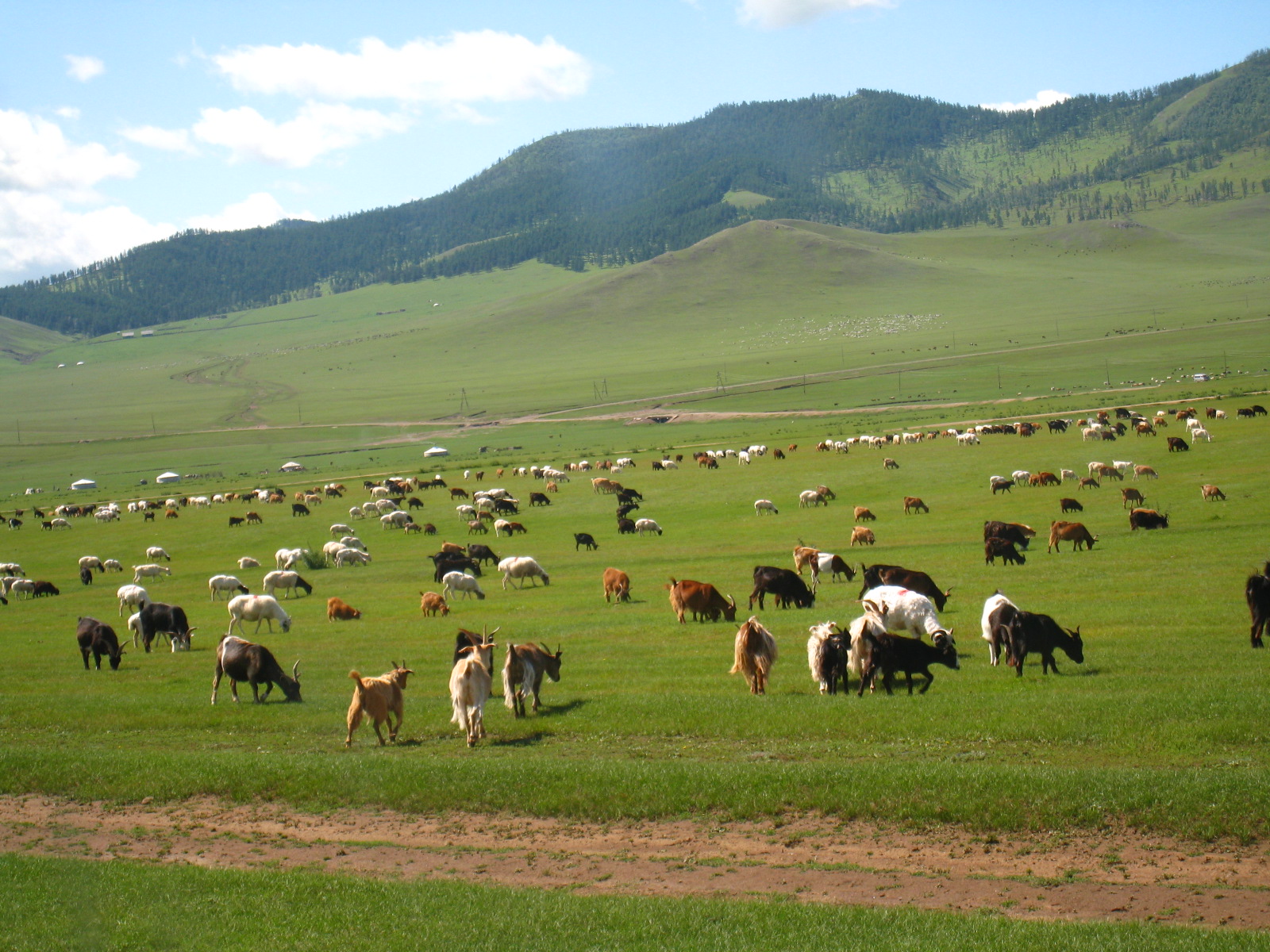 Gobi Desert in Mongolia images