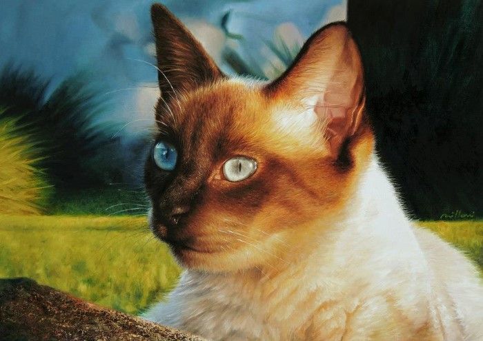 Бразильский художник. Fabiano Millani Бразильский художник. Fabiano Millani